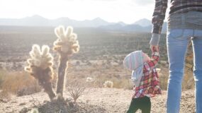 What Do Family Doctors Do in Humble TX